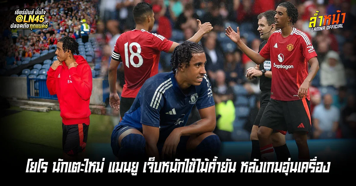 โยโร่เจ็บหนัก