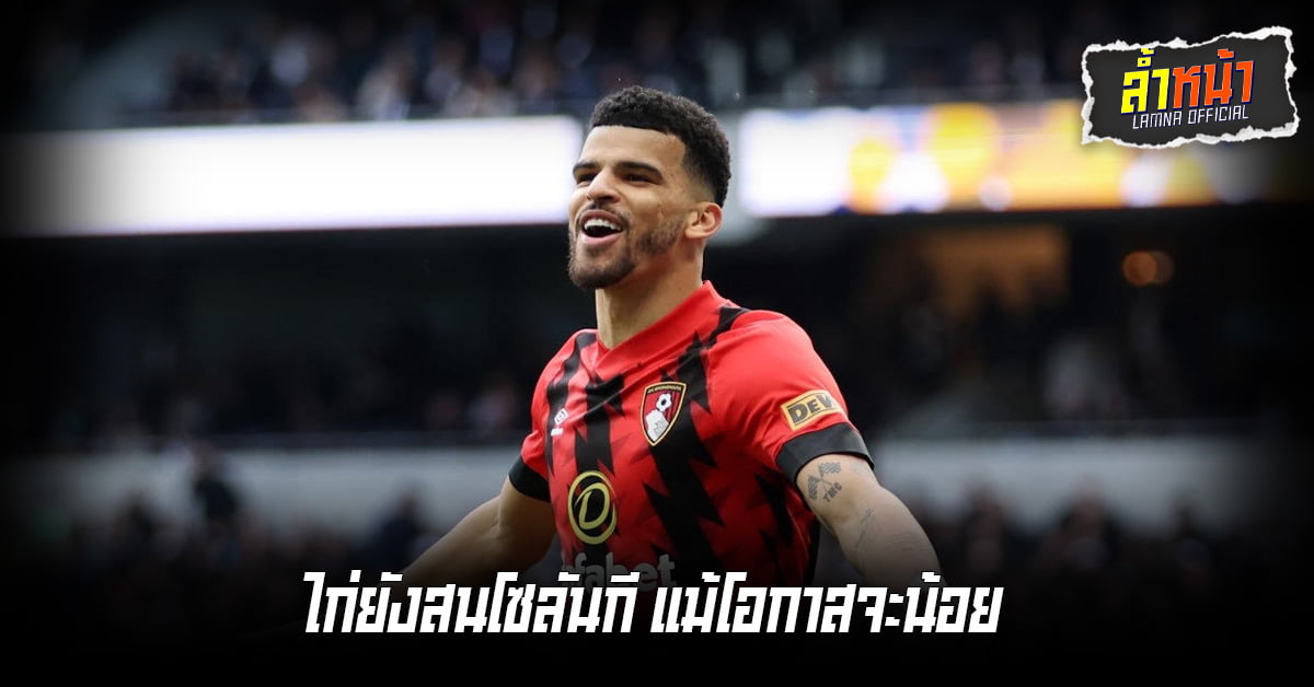 สเปอร์สยังคงตามจีบ
